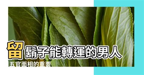 鬍子 面相|留鬍鬚改運？面相大揭秘